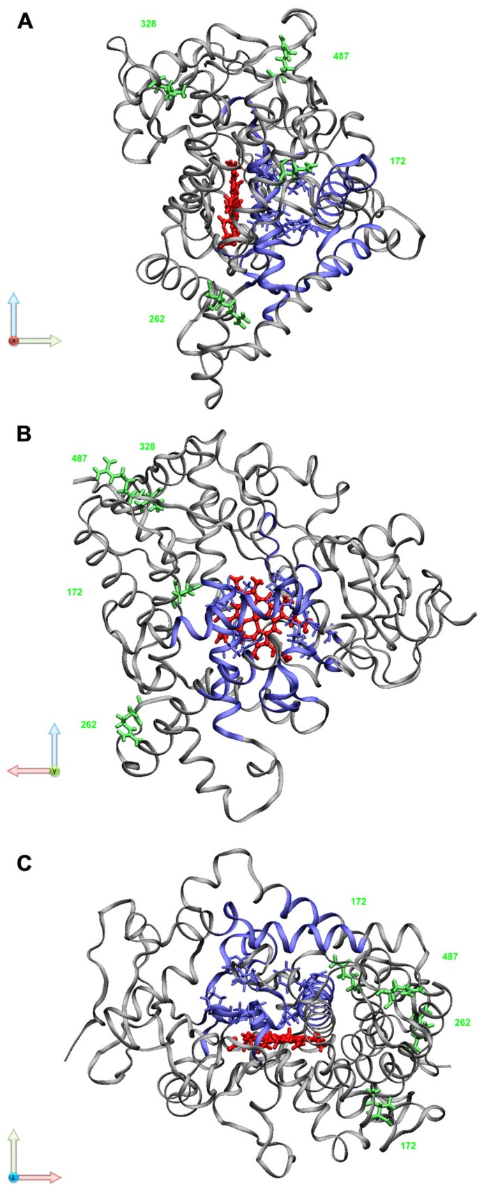 FIGURE 2