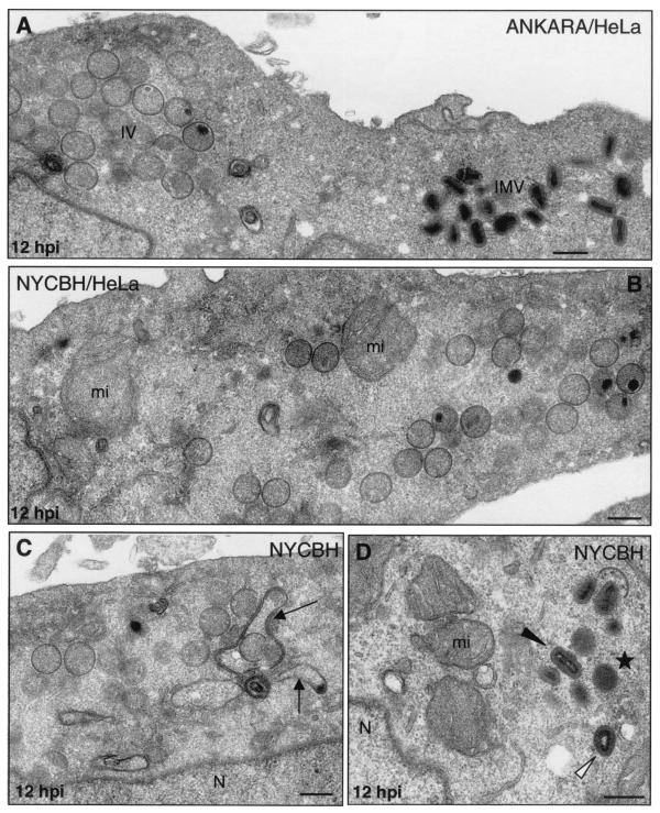 FIG. 9.