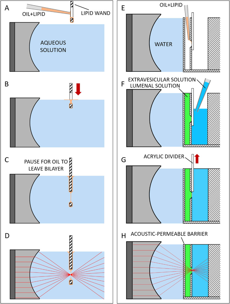 FIG. 2.