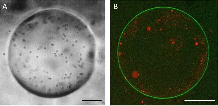 FIG. 4.