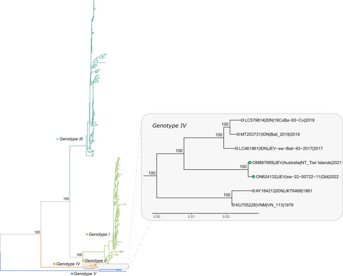 Fig 2