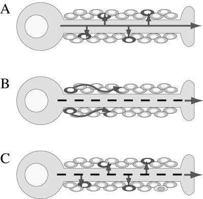 FIG. 7.