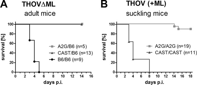 FIG 2