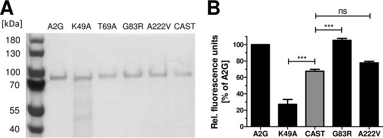 FIG 6