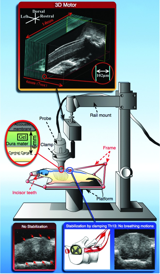 FIG. 2.