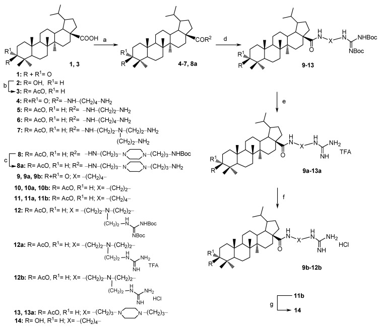 Scheme 1