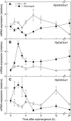 Figure 3.