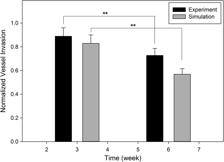 FIG. 7.