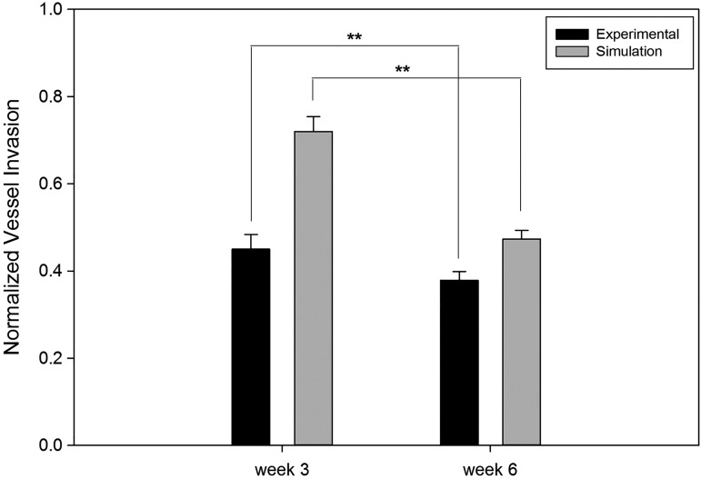 FIG. 10.