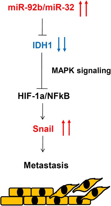 Fig. 9