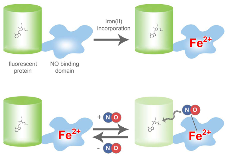 Fig. 2