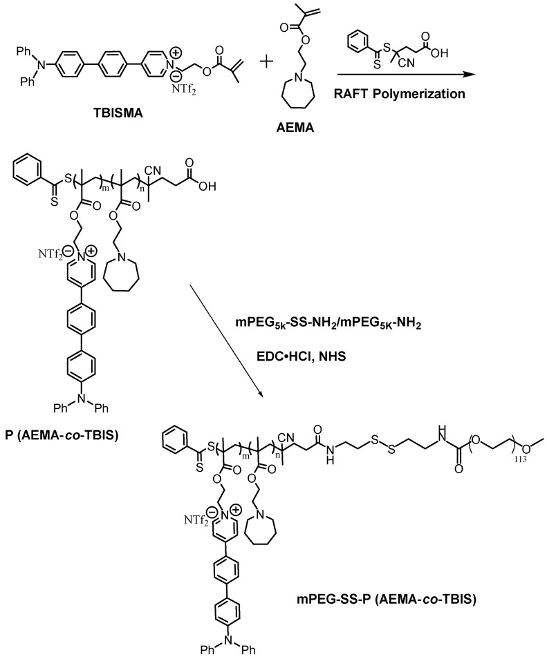 Scheme 2