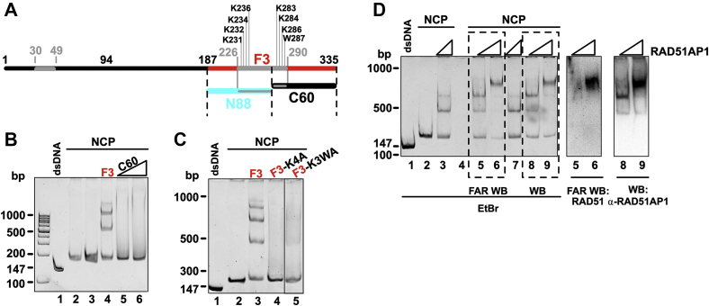 Figure 3