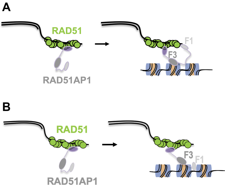 Figure 5