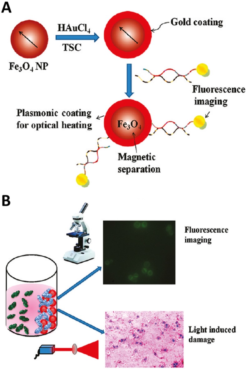 Figure 16