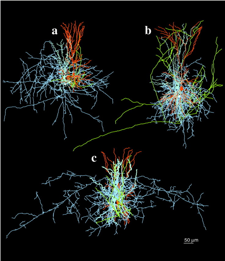 Fig. 3.