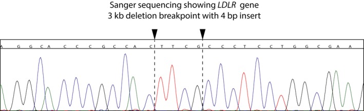 Figure 4