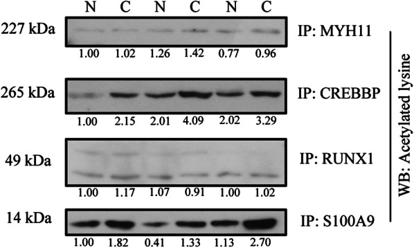 Fig. 6