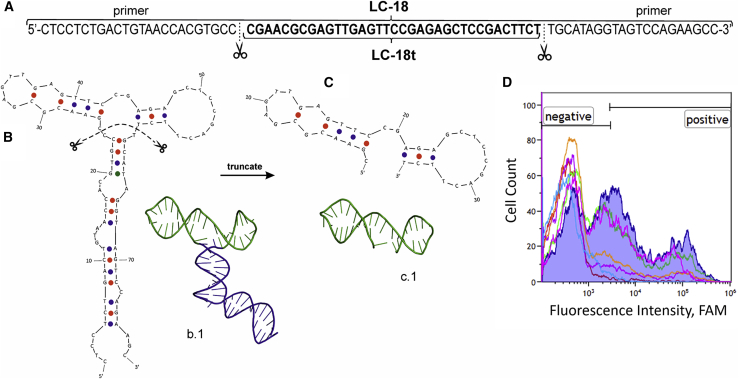 Figure 1