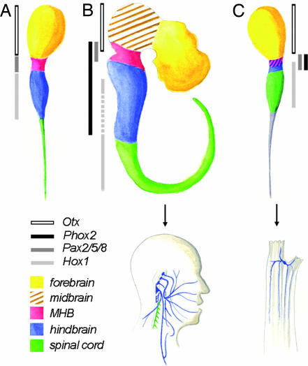 Fig. 5.