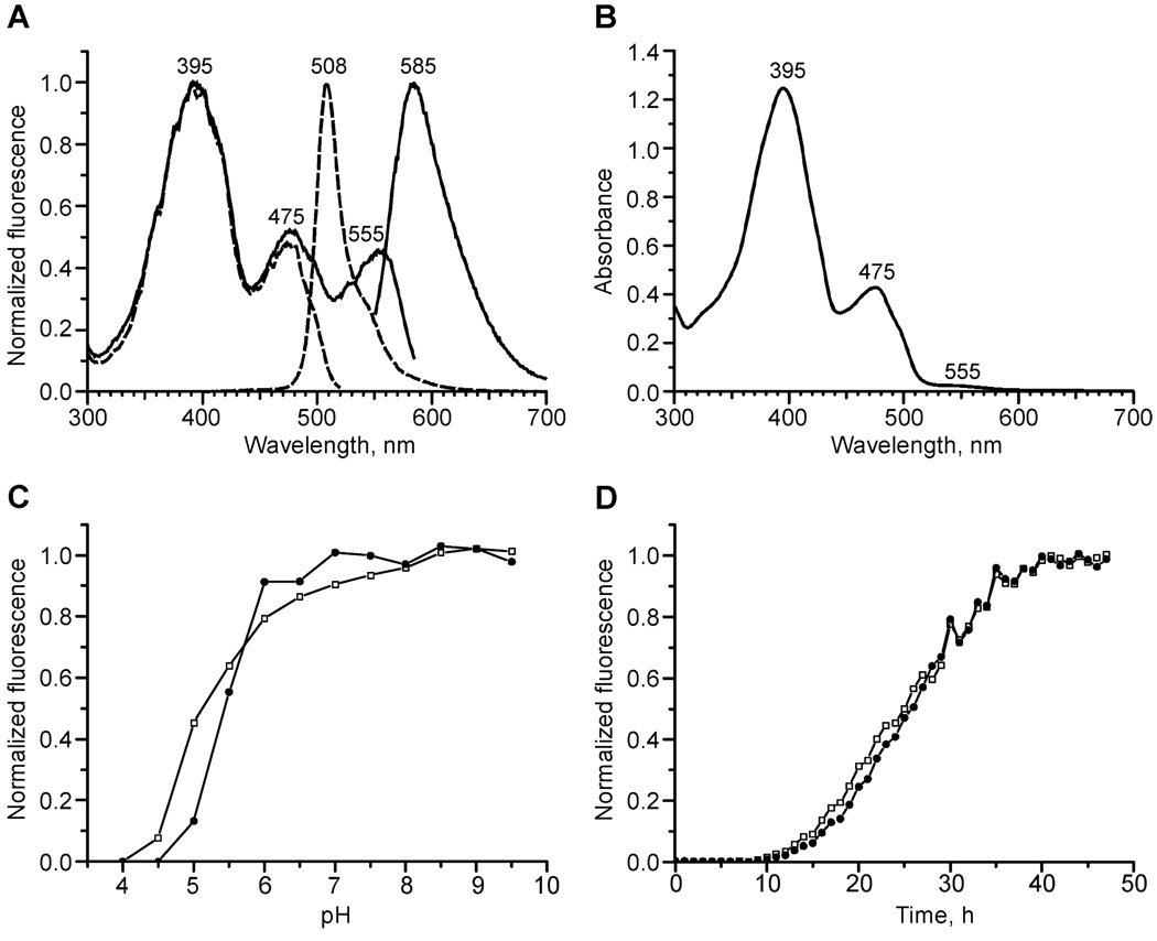 FIGURE 4