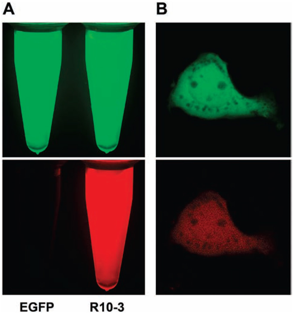 FIGURE 3