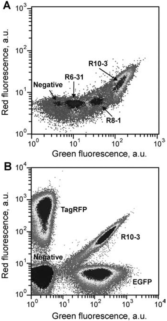 FIGURE 2