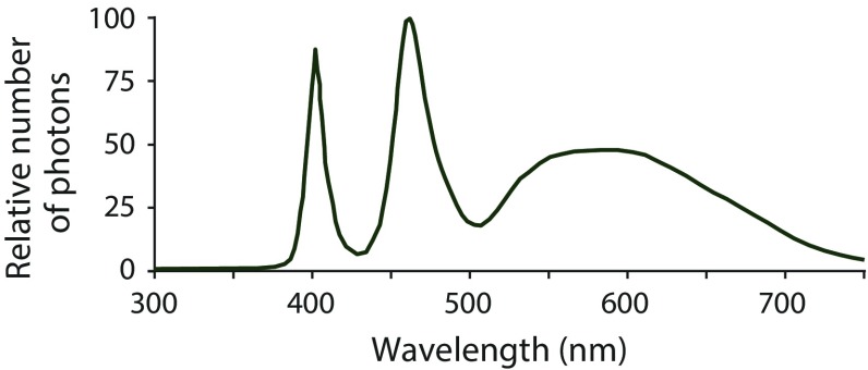 Fig. 1