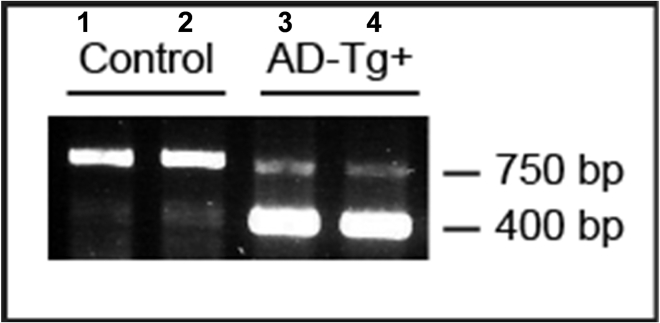 Figure 10