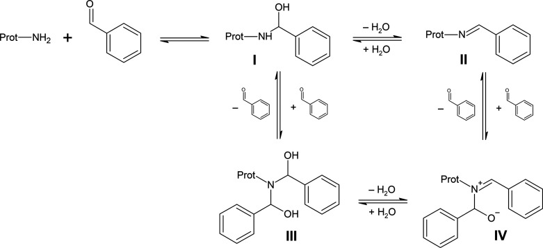 Scheme 7
