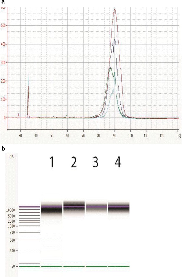 Fig. 4