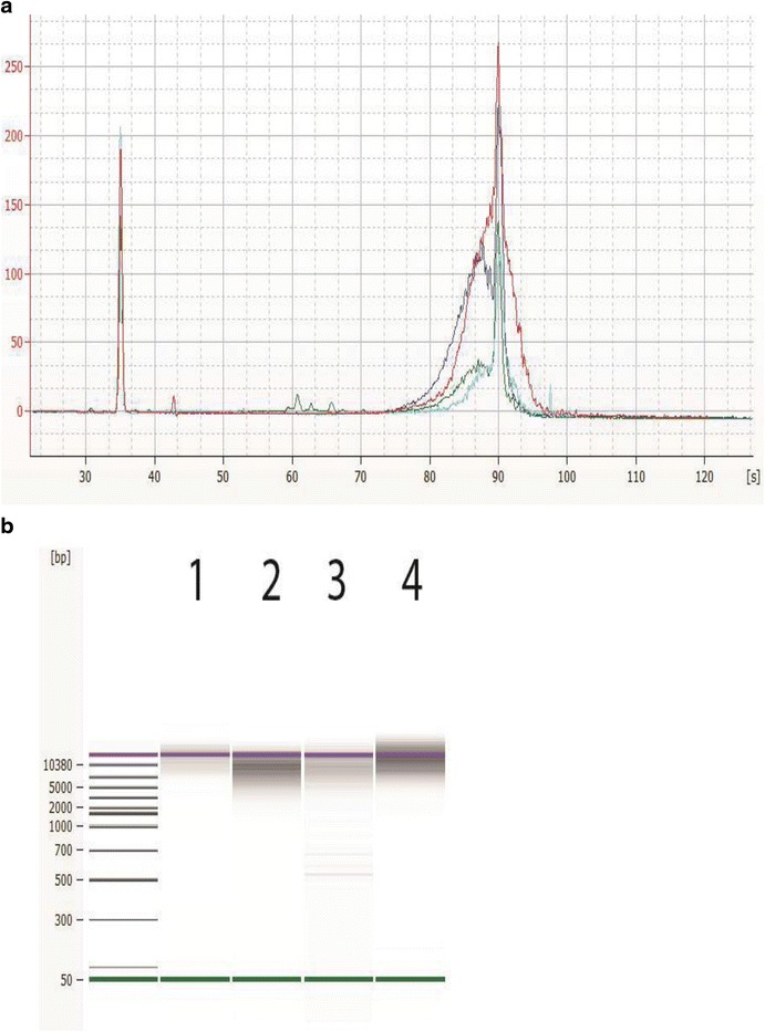 Fig. 6