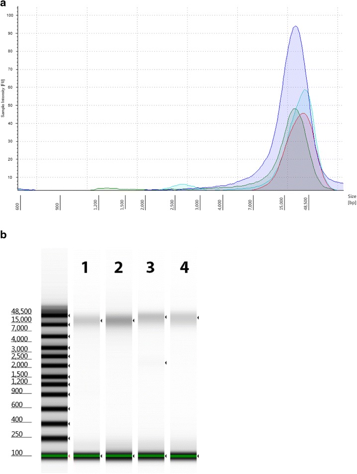 Fig. 7