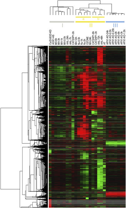 Figure 2.