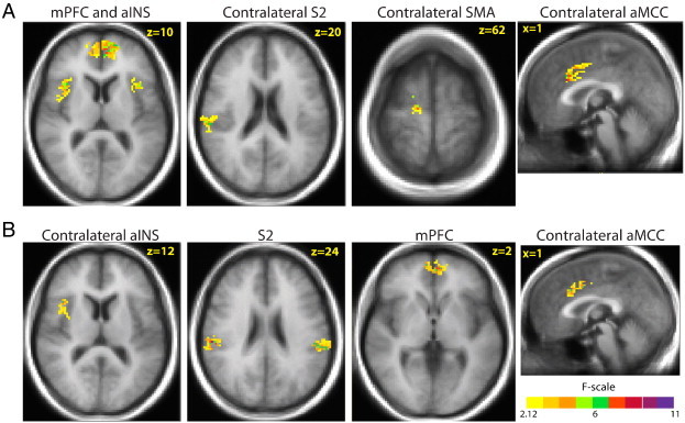 Fig. 6