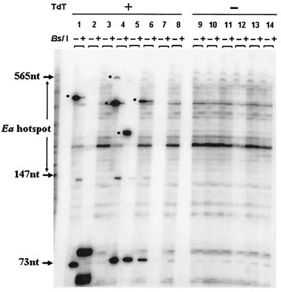 FIG. 6.