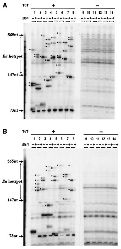 FIG. 5.