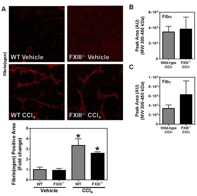 Fig. 4: