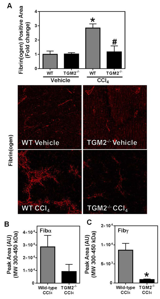 Fig. 6: