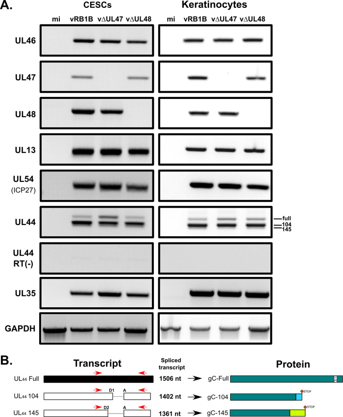 FIG 6