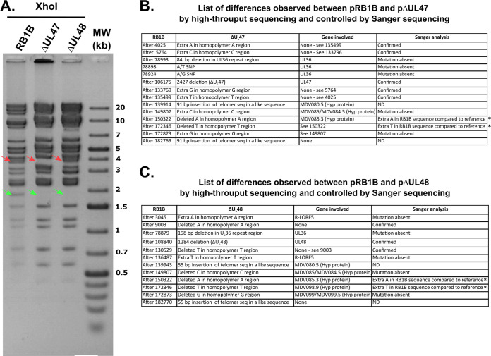 FIG 1