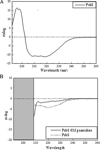 FIGURE 9.