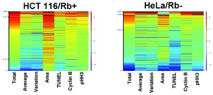 Fig. (3). Bivariate analysis of phenotypic parameters further refine subpopulations. 