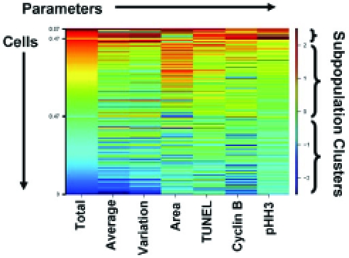 Fig. (4). Diagram of a multiparametric heatmap.