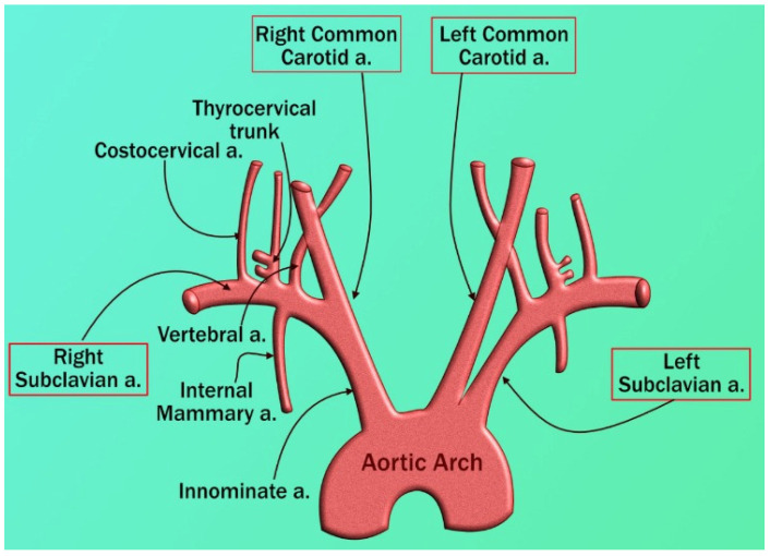 Figure 21