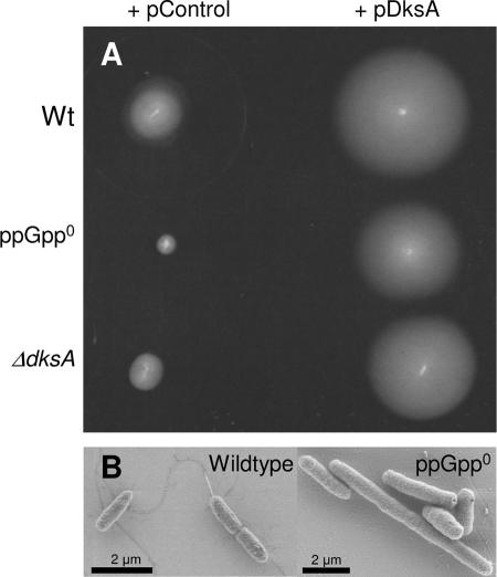 FIG. 5.