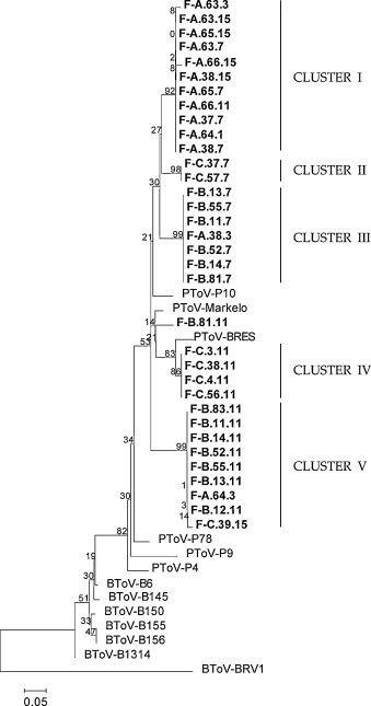 Fig. 5