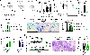 Figure 3 |