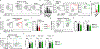 Figure 2 |