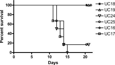 FIG. 5.